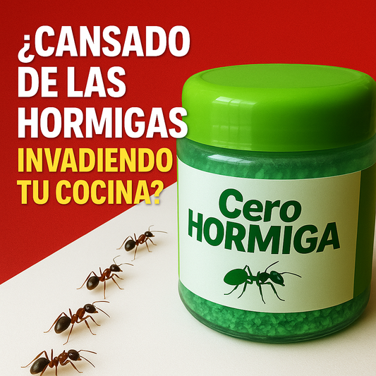 CeroHormiga™ ¡HOY 50% DE DESCUENTO!